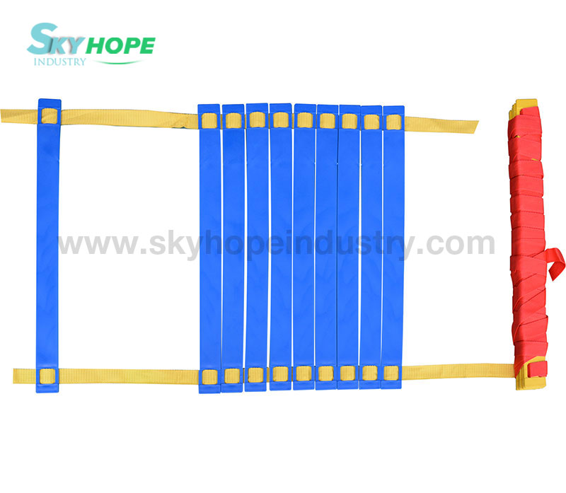 Speed Agility Training Ladder