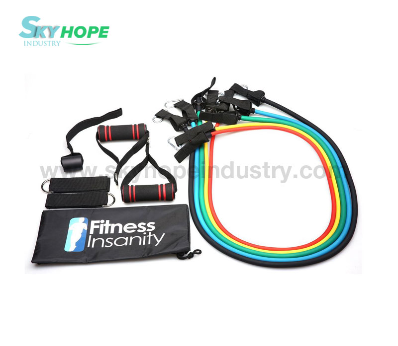 Fitness insanity resistance bands set 2025
