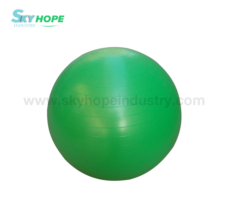 Gym Ball/Yoga Ball