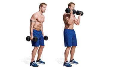 THE SIX BEST ARM EXERCISES